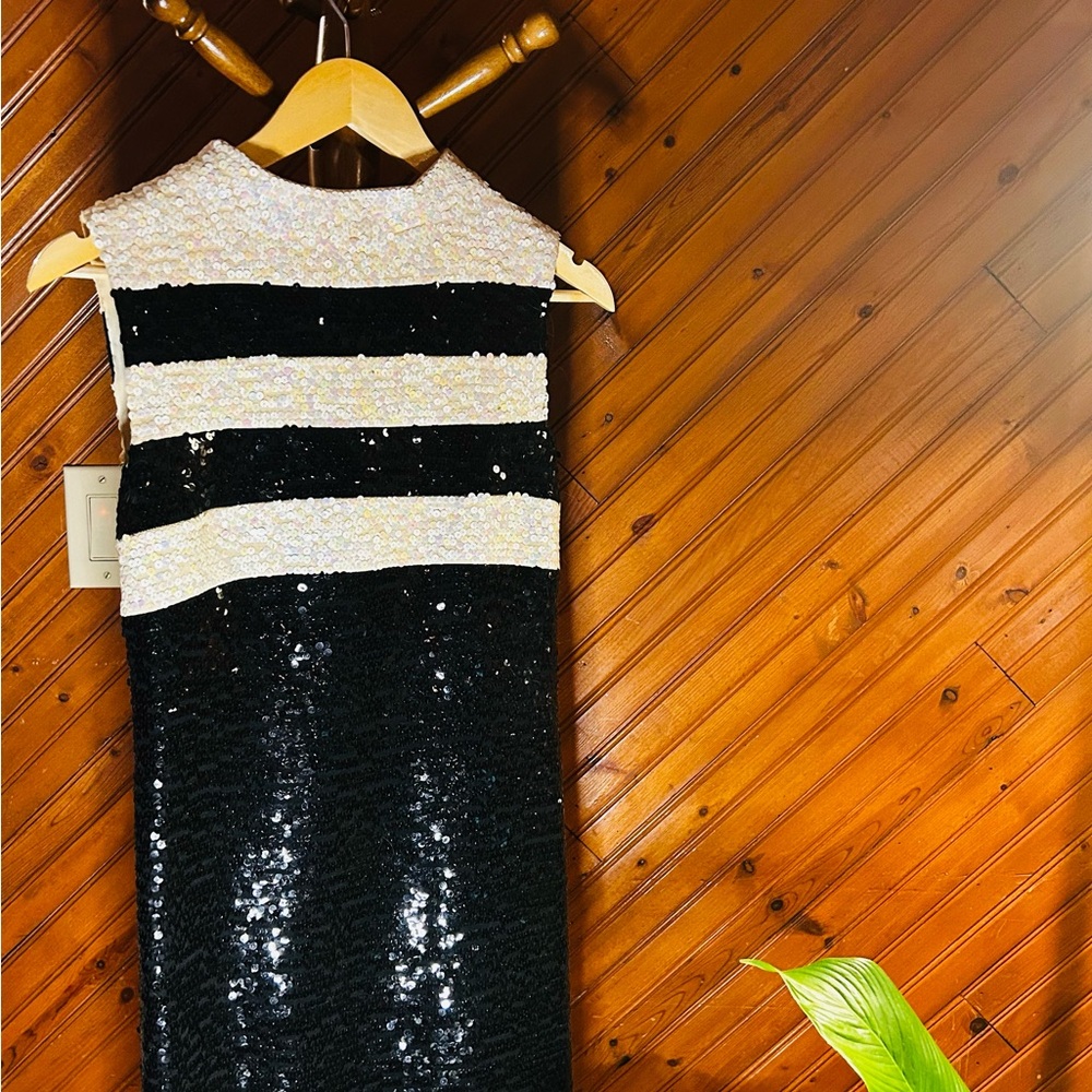 Vintage Sequin Dress